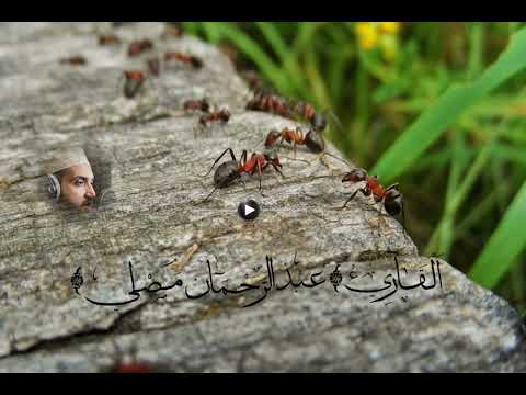 تلاوة مؤثرة سورة النمل كاملة للقاريء عبدالرحمان مصلي _ Surat Al_Naml- Abderrahmane Mesli